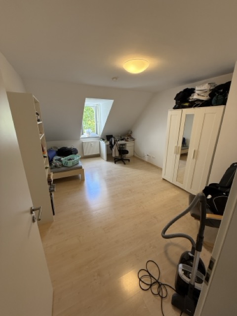 Mittel (IMG 1735) 2 Maisonettewohnung Heidelberg